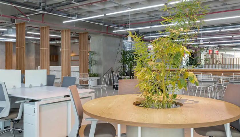 上海標(biāo)志設(shè)計(jì)公司